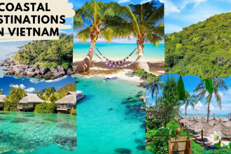Coastal Destinations in Vietnam