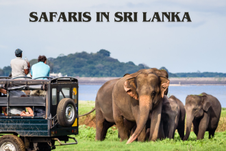 Safaris in Sri Lanka