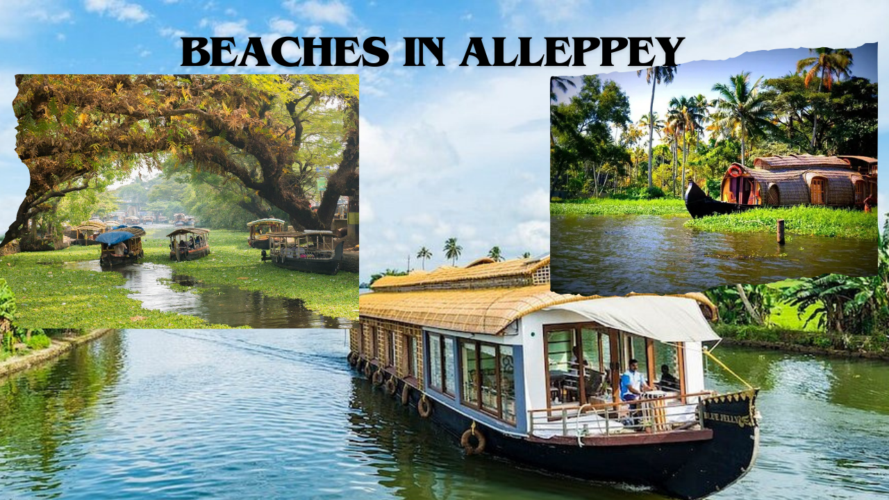 Beaches in Alleppey