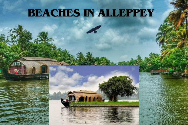 Beaches in Alleppey
