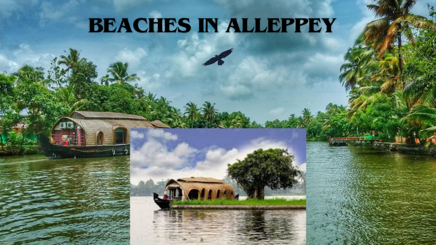 Beaches in Alleppey