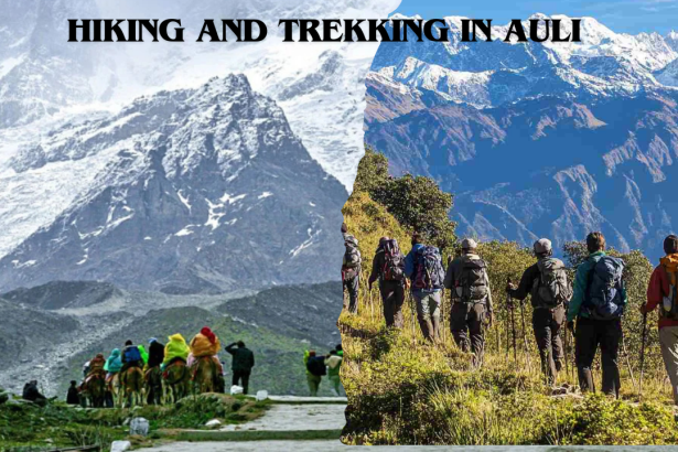 Hiking and Trekking in Auli