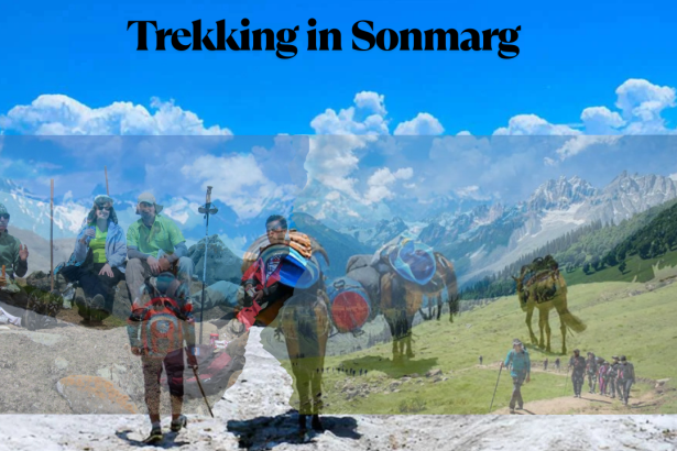 Trekking in Sonmarg