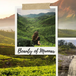 Beauty of Munnar
