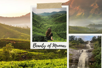 Beauty of Munnar