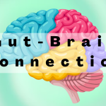 Gut-Brain Connection