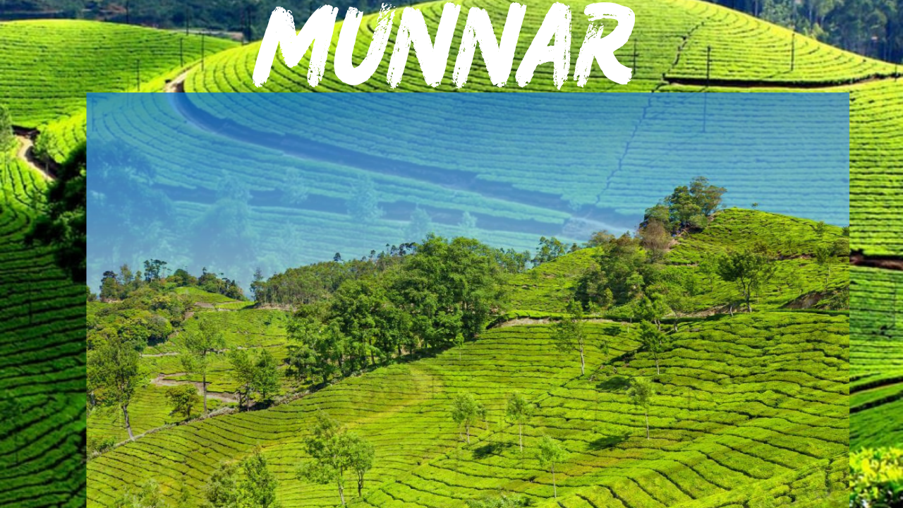 Munnar Most Famous Spots