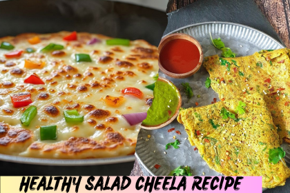 Healthy Salad Cheela Recipe