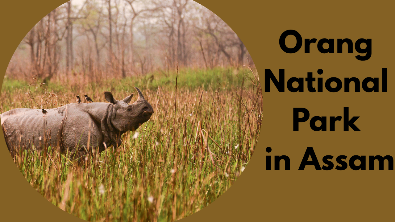 Orang National Park in Assam