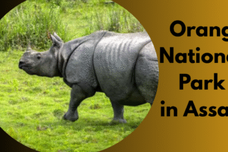 Orang National Park in Assam