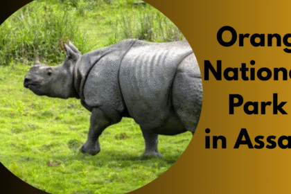 Orang National Park in Assam
