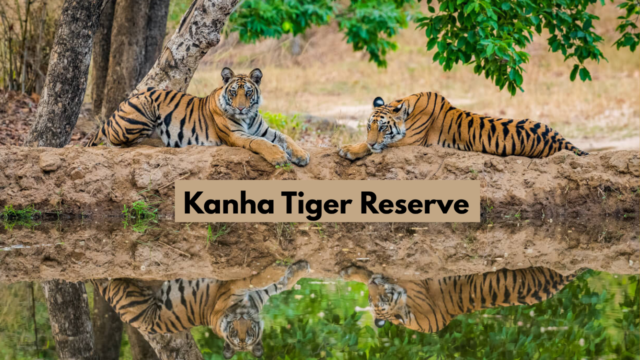 Visit Kanha Tiger Reserve