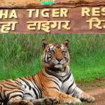 Visit Kanha Tiger Reserve