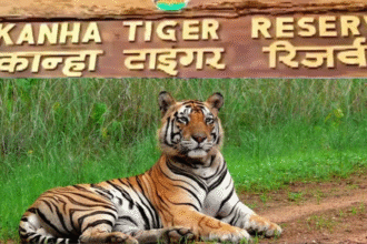Visit Kanha Tiger Reserve