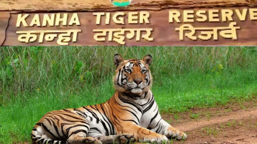 Visit Kanha Tiger Reserve
