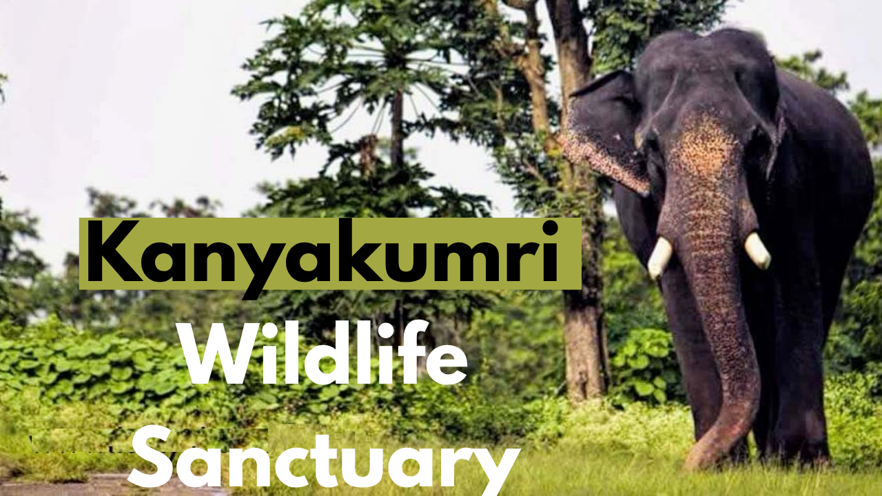 Kanyakumari Wildlife Sanctuary