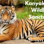 Kanyakumari Wildlife Sanctuary
