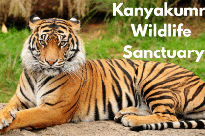 Kanyakumari Wildlife Sanctuary