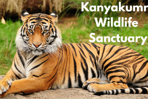 Kanyakumari Wildlife Sanctuary