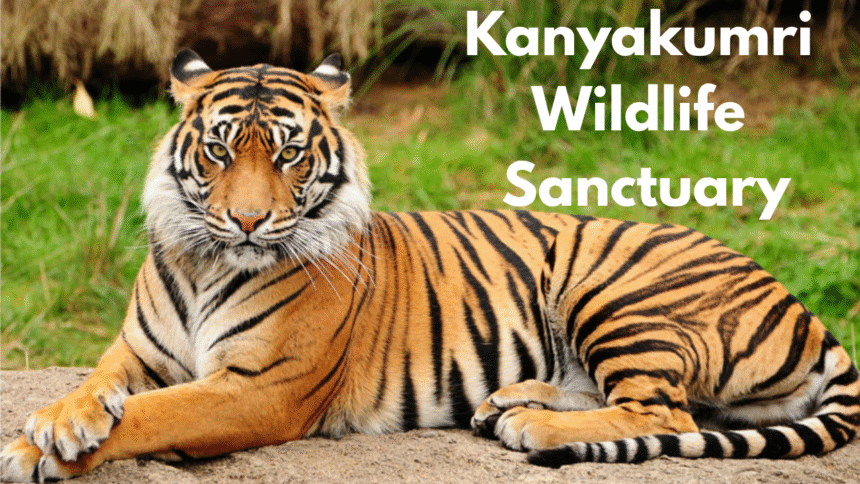 Kanyakumari Wildlife Sanctuary
