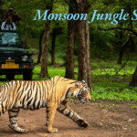 Monsoon Jungle Safaris