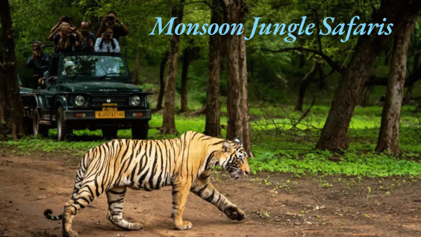 Monsoon Jungle Safaris