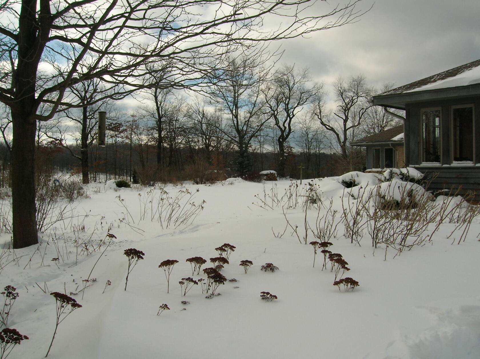 Top 10 Luxury Airbnb Villas in Pennsylvania for Christmas Vacation 2026