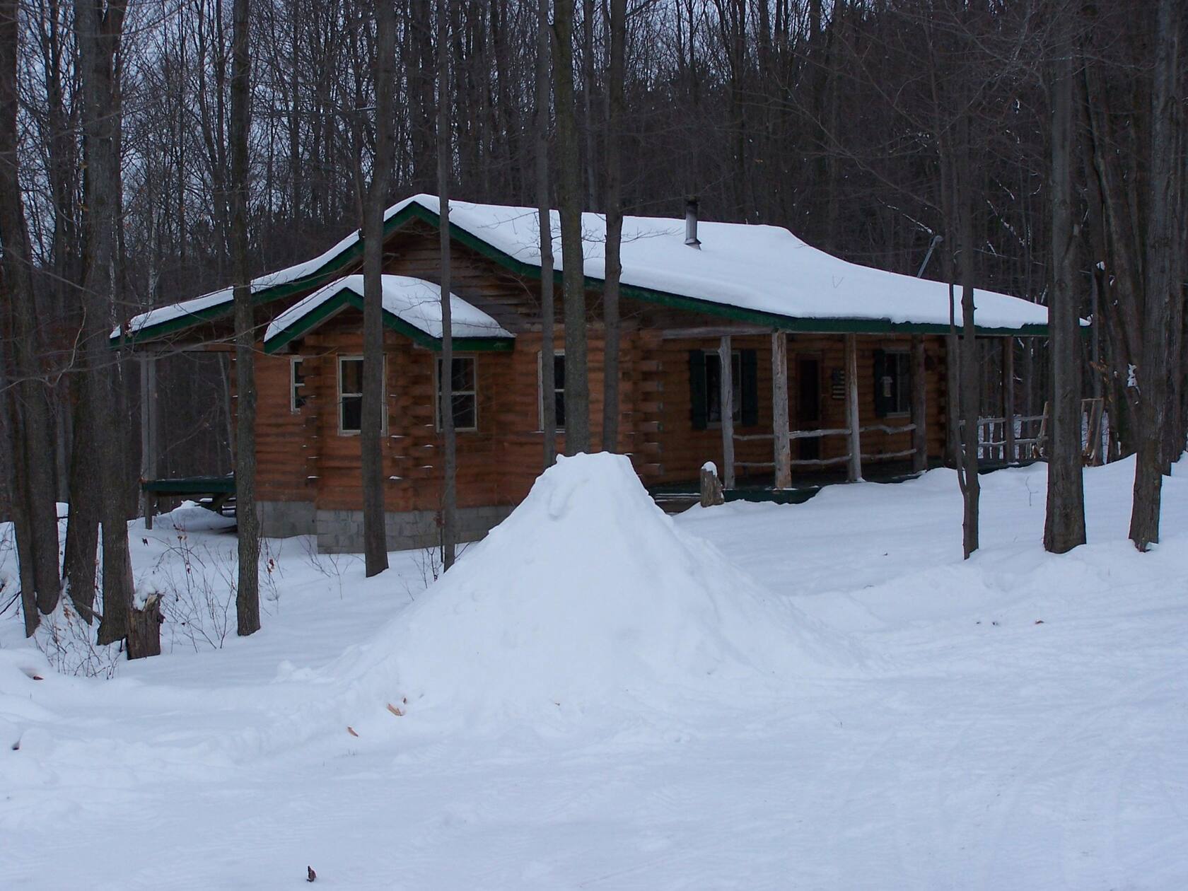 Secluded Log Cabin With Acreage